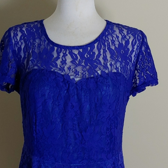 NWT Blue lace fit & flare dress - Picture 2 of 5